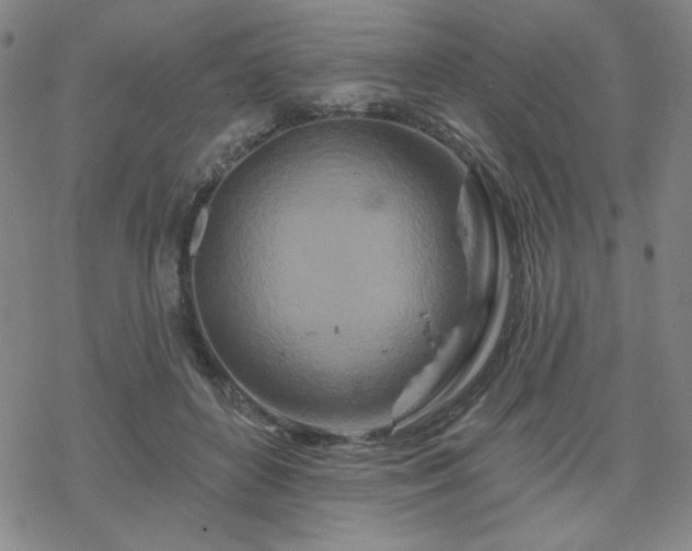 X0000070180504200606021036