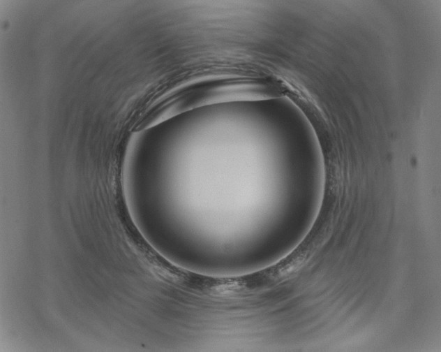 X0000070180505200606021036