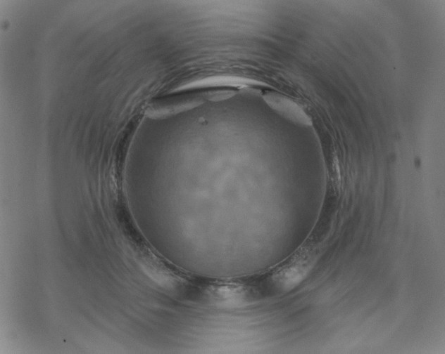 X0000070180506200606021036