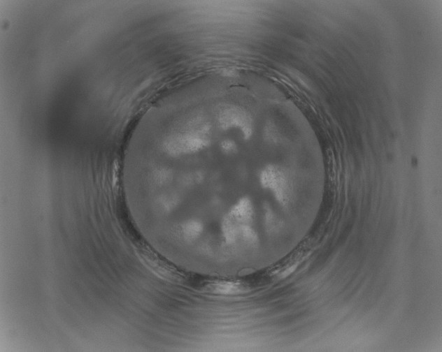 X0000070180507200606021036