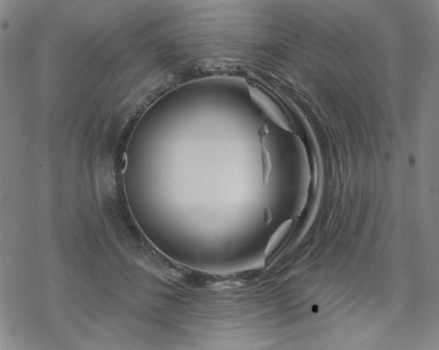 X0000070180508200606021036