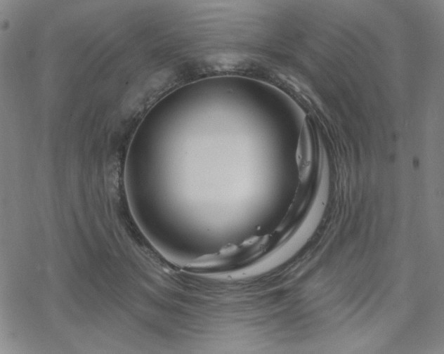 X0000070180509200606021036