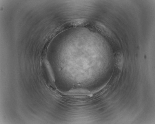 X0000070180510200606021036