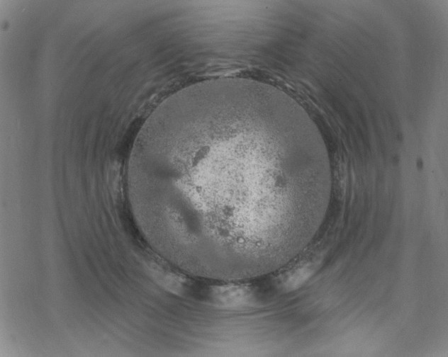 X0000070180511200606021036