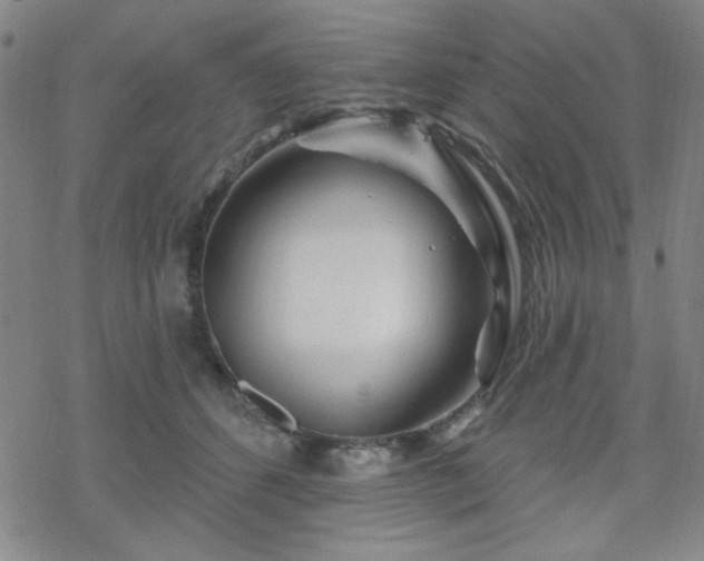 X0000070180512200606021036