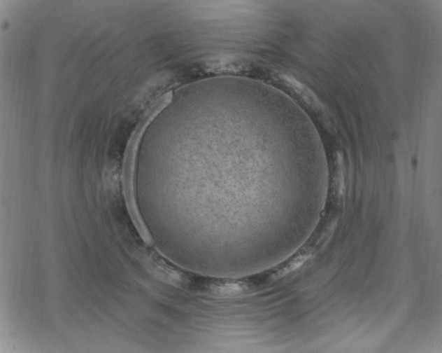 X0000070180513200606021036