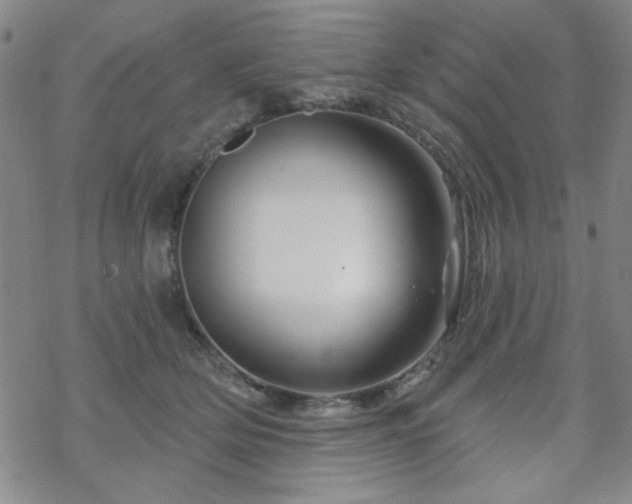 X0000070180514200606021036