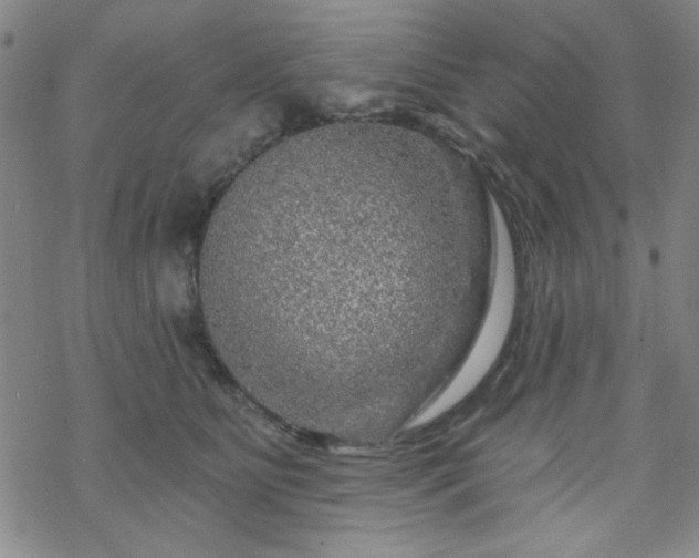 X0000070180515200606021036