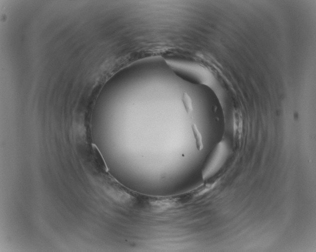 X0000070180516200606021036