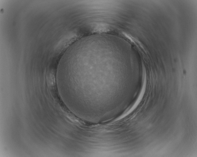 X0000070180517200606021036