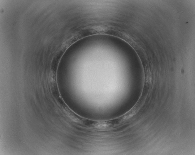 X0000070180518200606021035