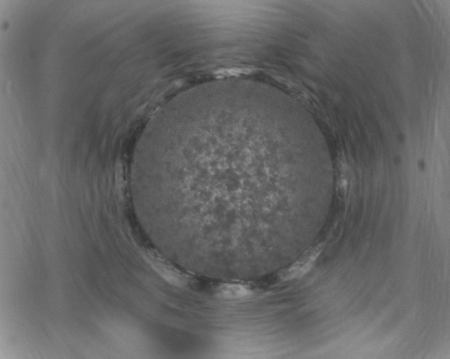 X0000070180519200606021035