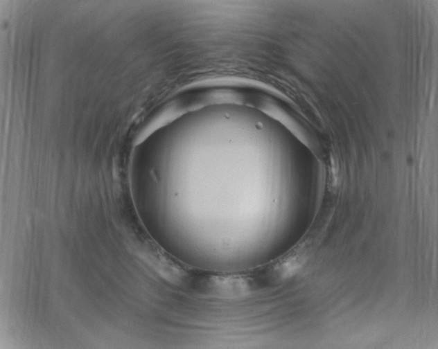 X0000070180520200606021035