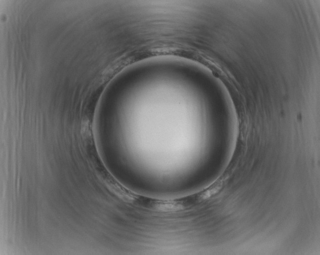 X0000070180521200606021035