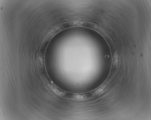 X0000070180522200606021035