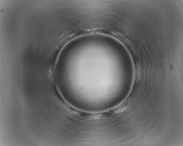 X0000070180523200606021035