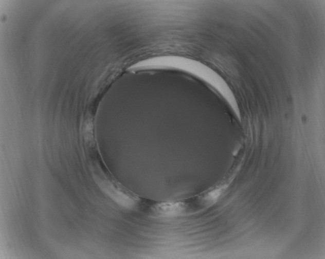 X0000070180526200606021035