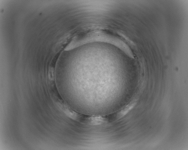 X0000070180528200606021035