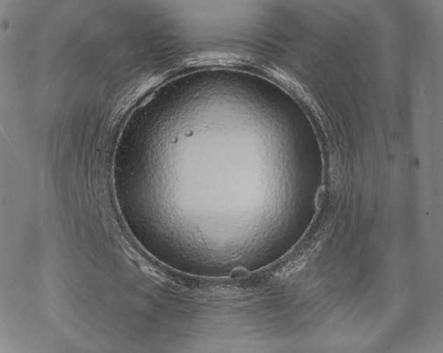 X0000070180529200606021035