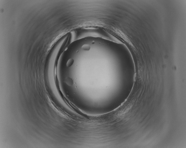 X0000070180530200606021035