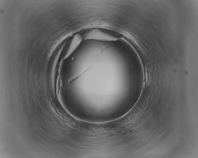 X0000070180531200606021035