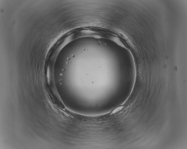 X0000070180532200606021035