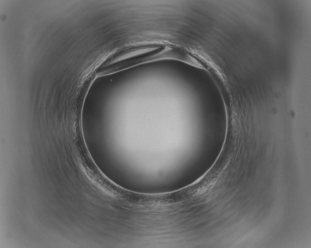 X0000070180533200606021035