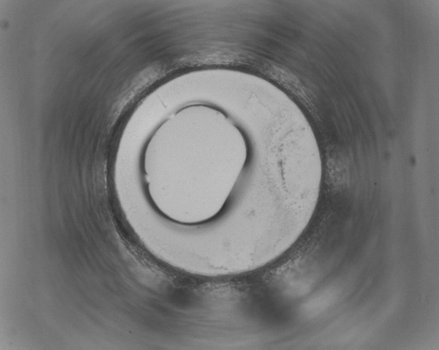 X0000070180534200606021035