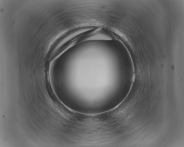 X0000070180535200606021035