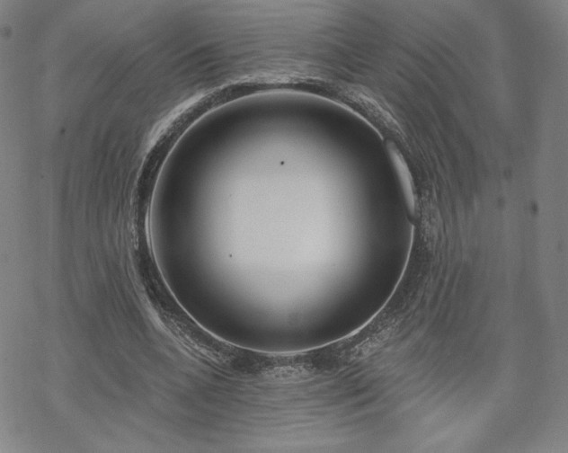 X0000070180536200606021035