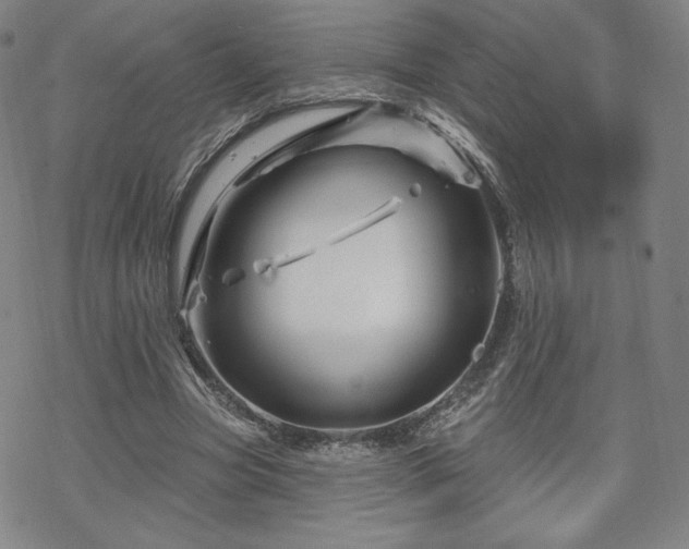 X0000070180537200606021035