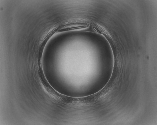 X0000070180538200606021035