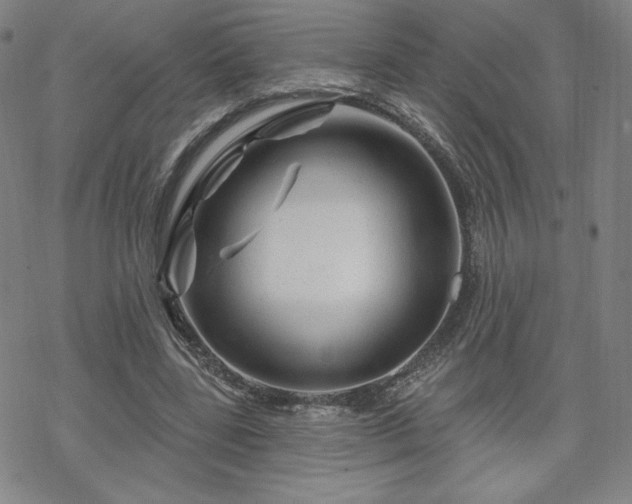 X0000070180539200606021035