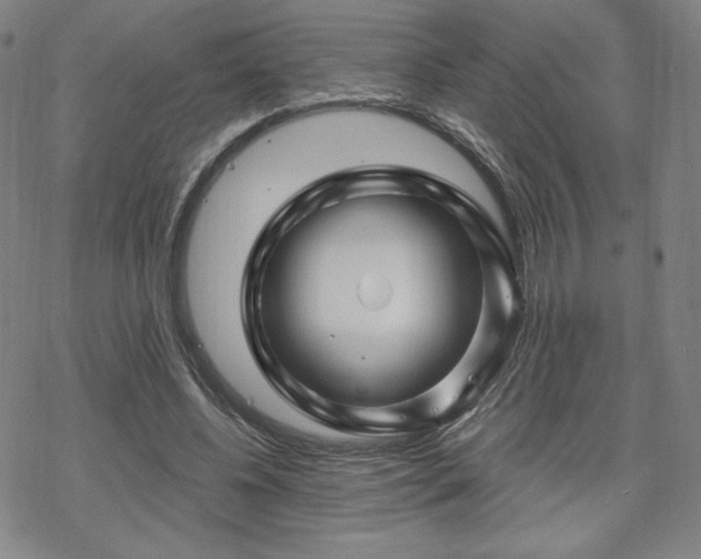 X0000070180540200606021035