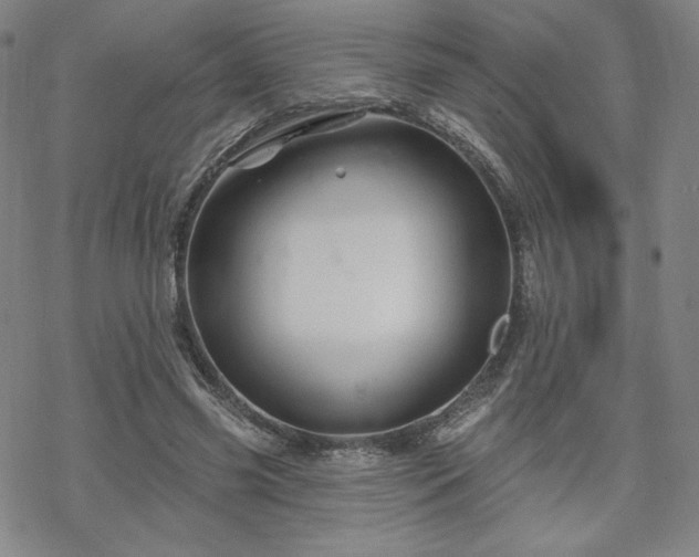 X0000070180541200606021035