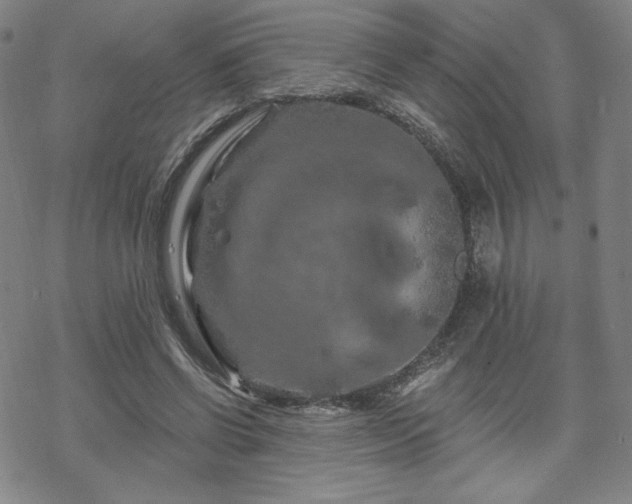 X0000070180542200606021035