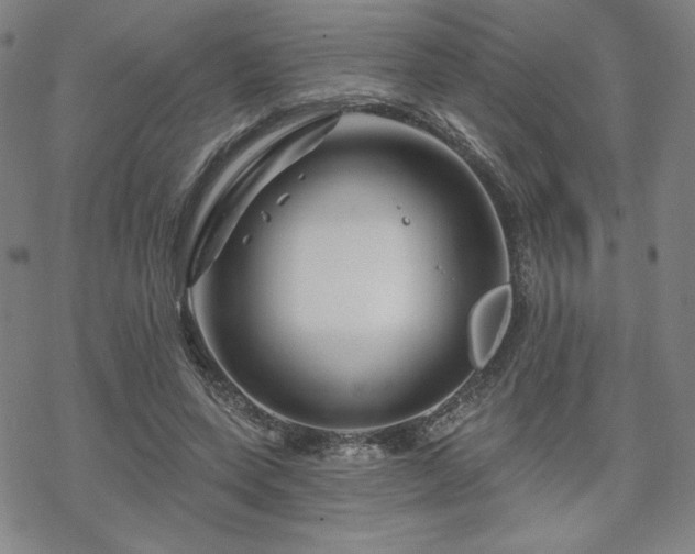 X0000070180543200606021035