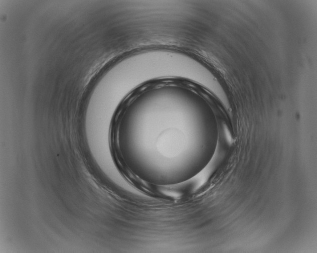 X0000070180544200606021035