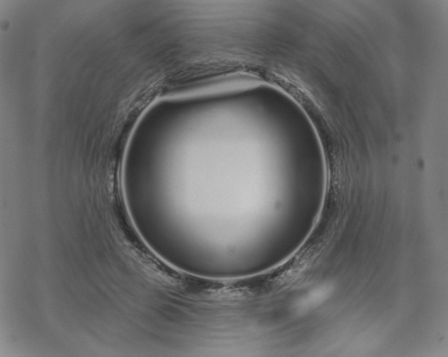 X0000070180545200606021035