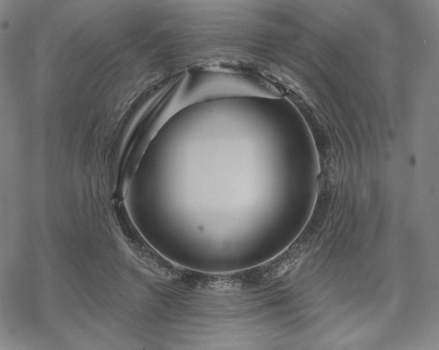 X0000070180546200606021035