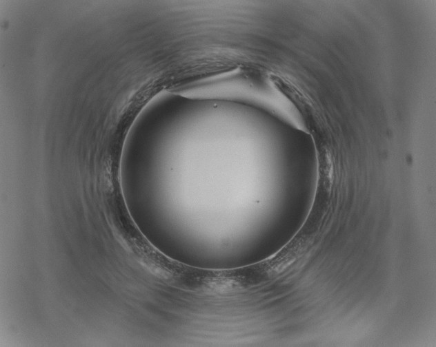 X0000070180547200606021035