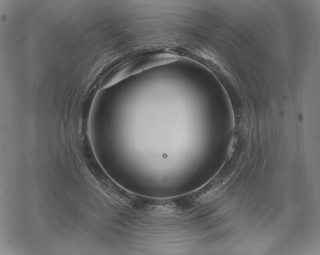 X0000070180548200606021035