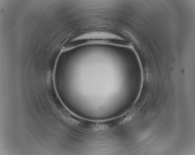 X0000070180549200606021035