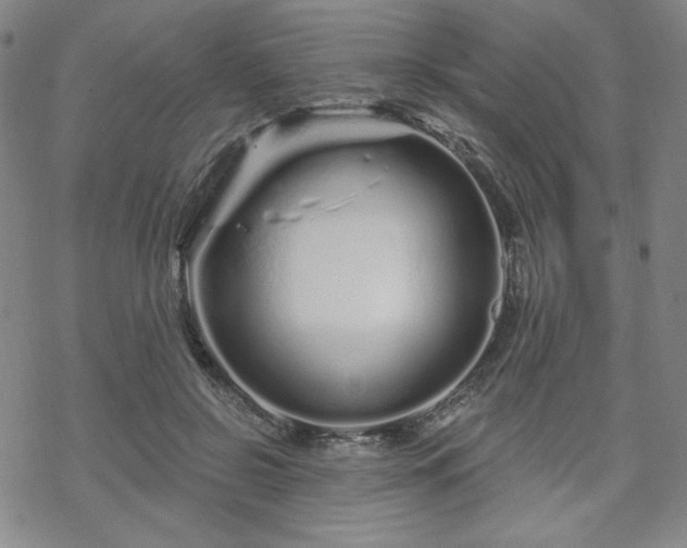 X0000070180550200606021035