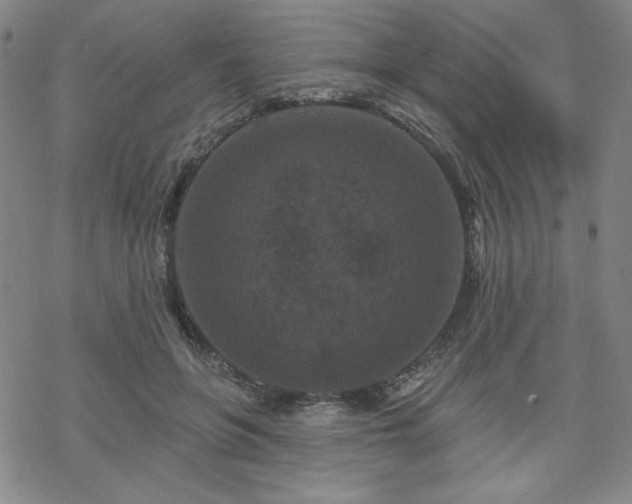 X0000070180551200606021035