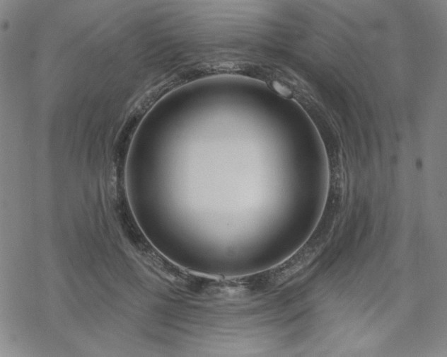 X0000070180552200606021035