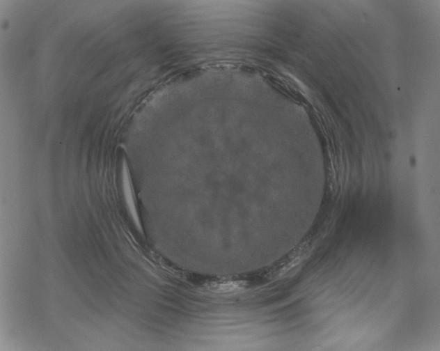 X0000070180553200606021035