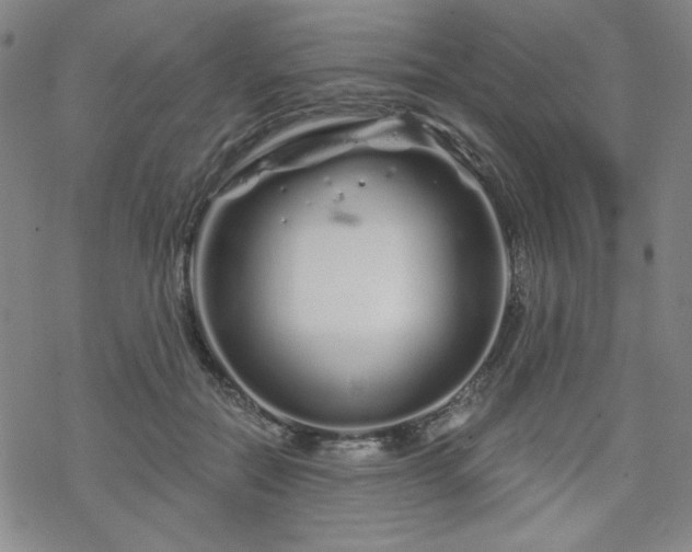 X0000070180554200606021035