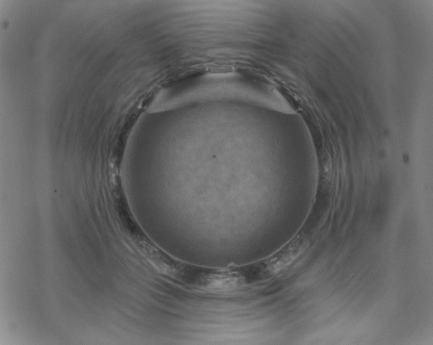 X0000070180555200606021035