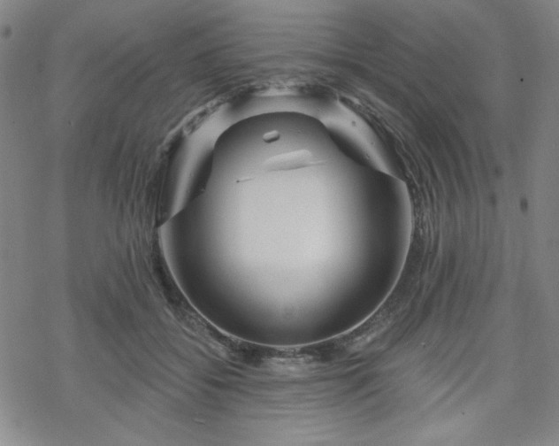 X0000070180556200606021035